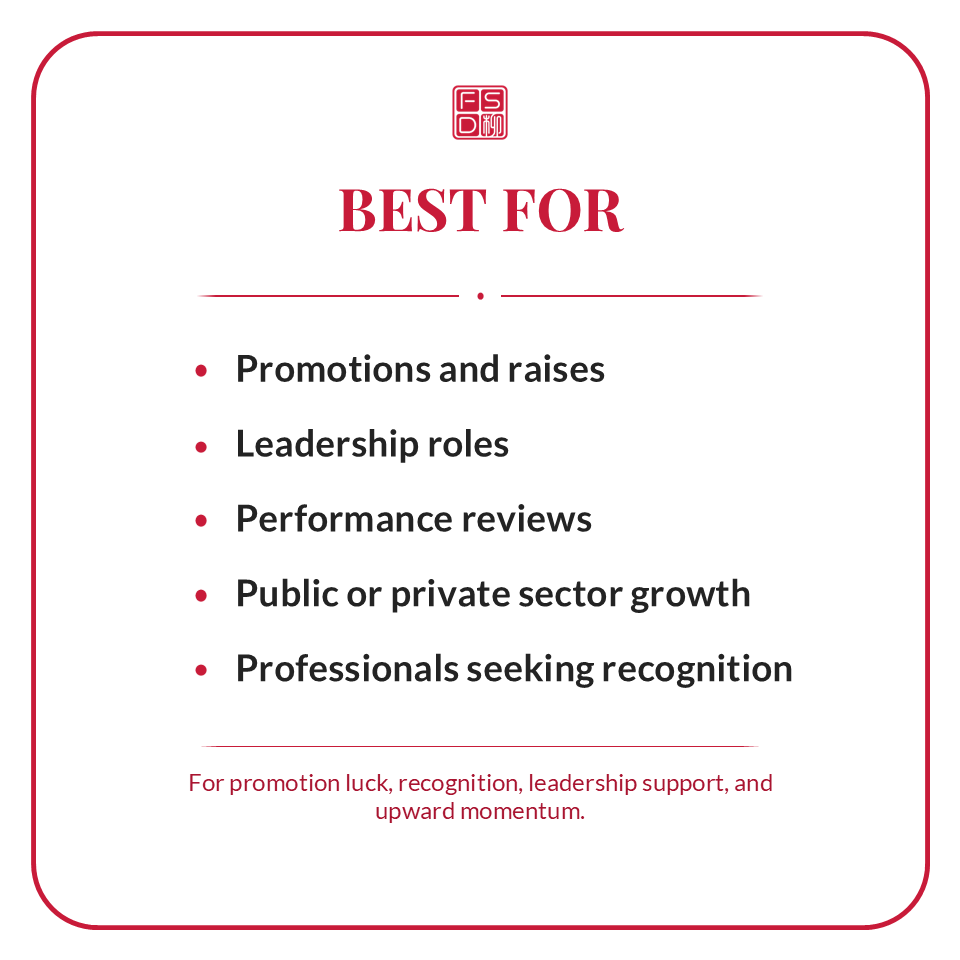 Career Advancement Amulet best for professionals seeking promotion, leadership roles, recognition, raises, and career growth